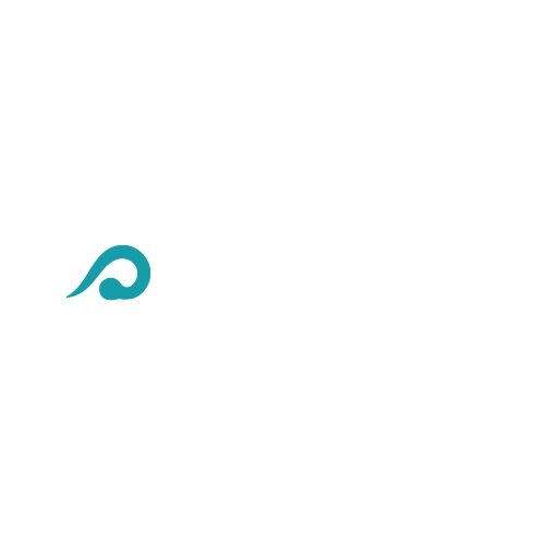 logo saftrick